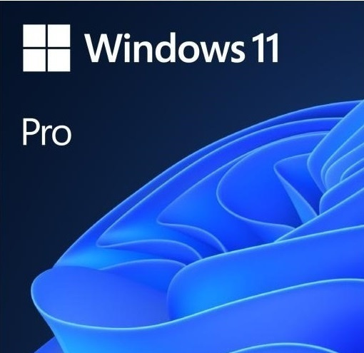 Windows 11 Pro / Professional OEM 32/64 Bit